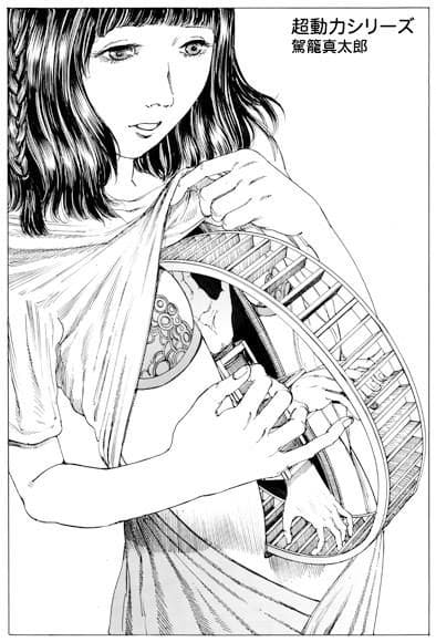 shintarokago22
